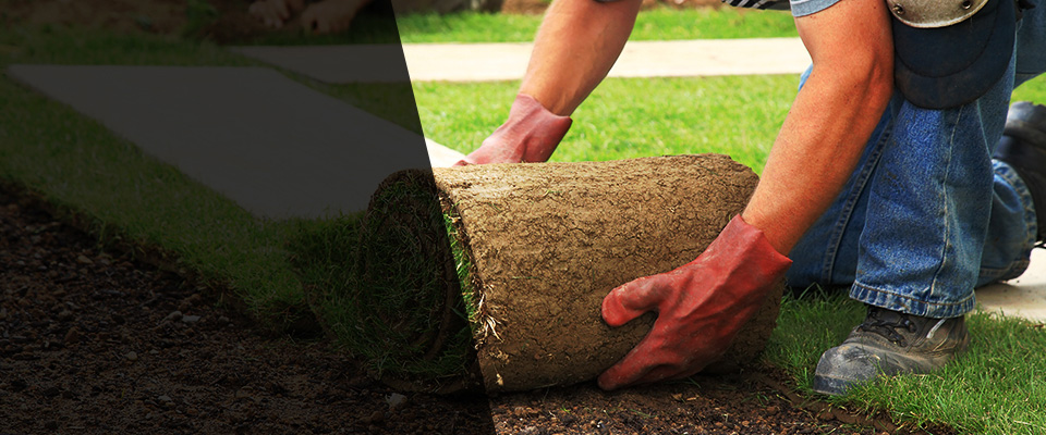 Wellington Landscapers